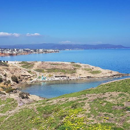 Villa Blue. Two Storey House, 100 Meters From Sea Rafina  Exterior photo